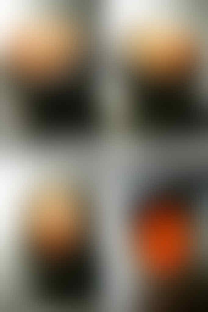 Lelang #11 Bid satu dapet dua, singkat aja