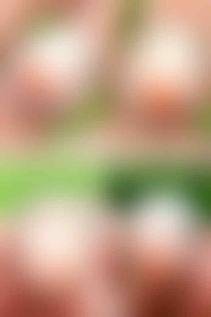 Lelang #11 Bid satu dapet dua, singkat aja