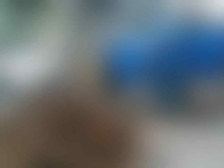 Mengenal 'Warna-Warni' Pasukan Kebersihan DKI Jakarta