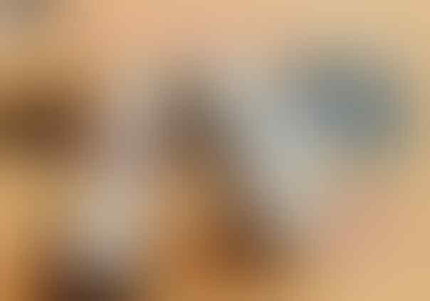 PV LOUNGE (18+) - Part 4