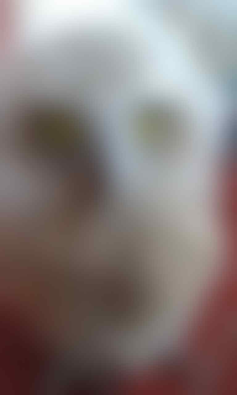 thread khusus burung hantu (owl) kaskus - Part 5