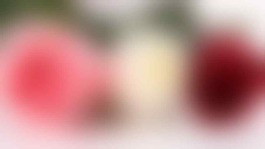 10 Hasil rekayasa genetika yang luar biasa