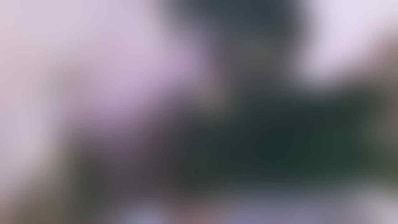 Macbook Pro Retina LCD