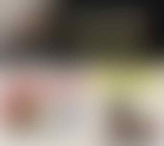 Anies Sindir Wacana Beli Tikus di DKI