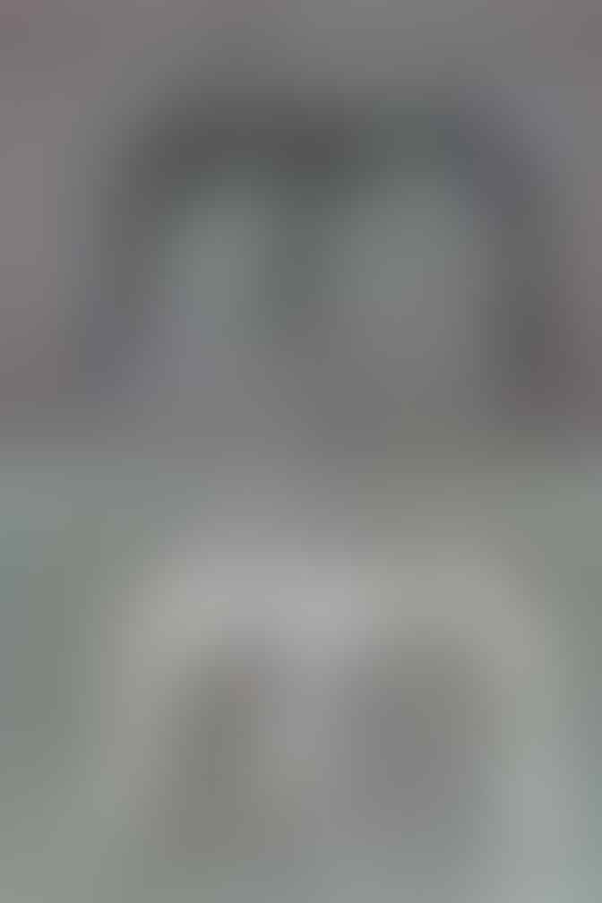 Gambar-Gambar Yang Dibuat Secara "Negative Effect"