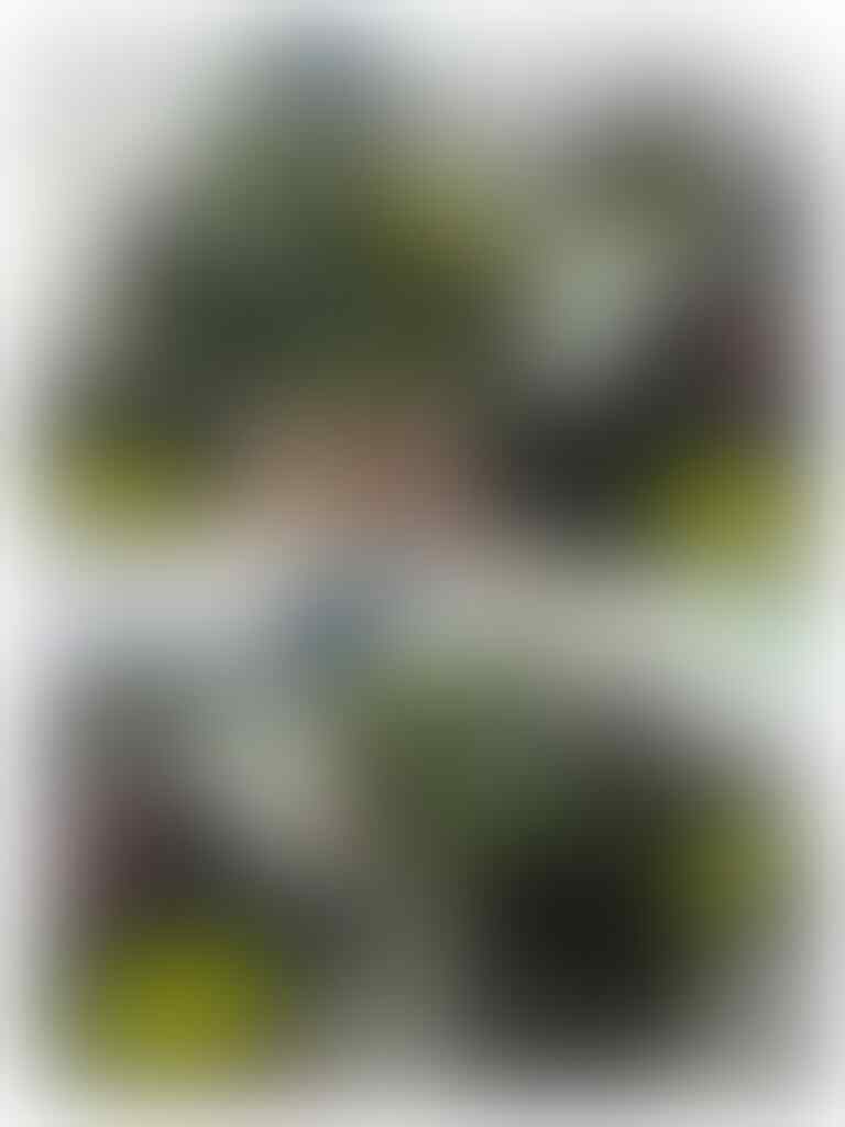 kaskus-image