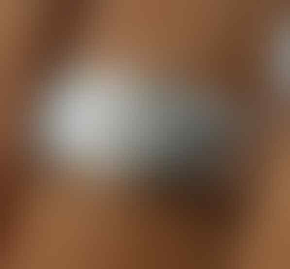 LELANG SPESIAL MENYAMBUT TAHUN BARU. CLSD 1 JAN 2017 21.00