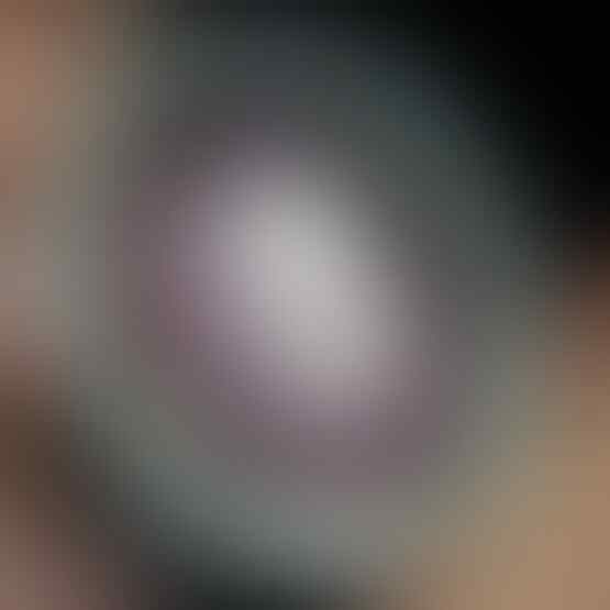 LELANG SPESIAL MENYAMBUT TAHUN BARU. CLSD 1 JAN 2017 21.00