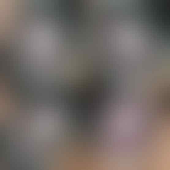 LELANG SPESIAL MENYAMBUT TAHUN BARU. CLSD 1 JAN 2017 21.00