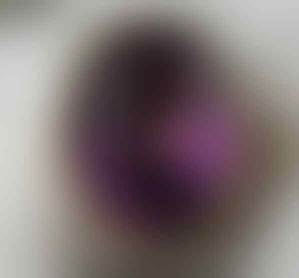 LELANG SPESIAL MENYAMBUT TAHUN BARU. CLSD 1 JAN 2017 21.00