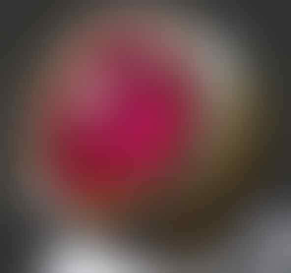 LELANG SPESIAL MENYAMBUT TAHUN BARU. CLSD 1 JAN 2017 21.00