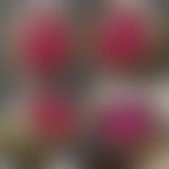 LELANG SPESIAL MENYAMBUT TAHUN BARU. CLSD 1 JAN 2017 21.00