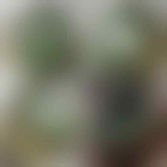 LELANG SPESIAL MENYAMBUT TAHUN BARU. CLSD 1 JAN 2017 21.00