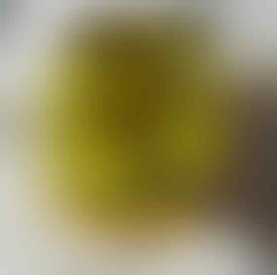 LELANG SPESIAL MENYAMBUT TAHUN BARU. CLSD 1 JAN 2017 21.00