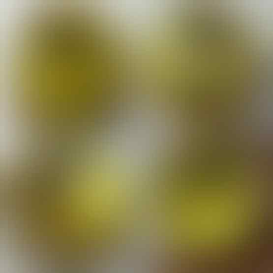 LELANG SPESIAL MENYAMBUT TAHUN BARU. CLSD 1 JAN 2017 21.00