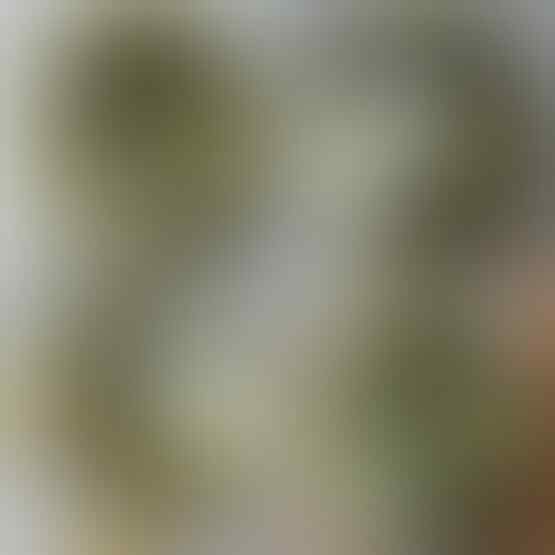 LELANG SPESIAL MENYAMBUT TAHUN BARU. CLSD 1 JAN 2017 21.00