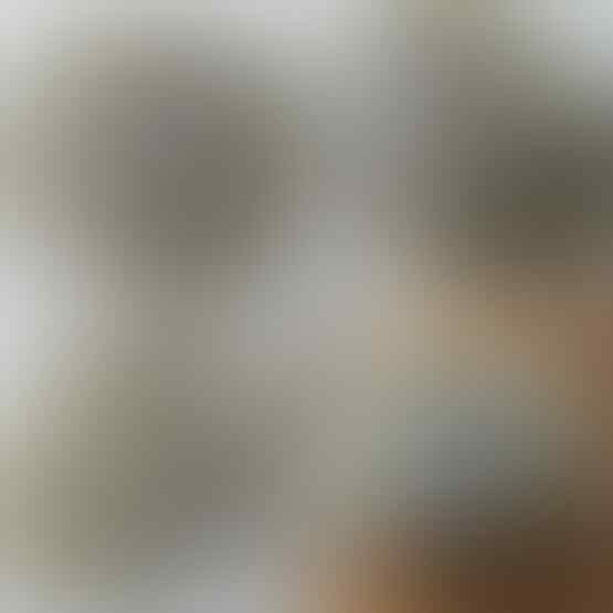 LELANG SPESIAL MENYAMBUT TAHUN BARU. CLSD 1 JAN 2017 21.00