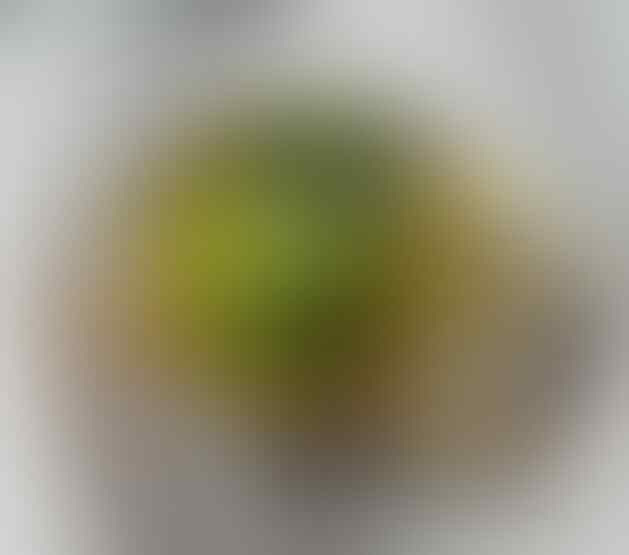 LELANG SPESIAL MENYAMBUT TAHUN BARU. CLSD 1 JAN 2017 21.00