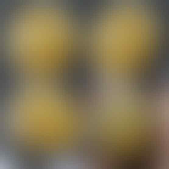 LELANG SPESIAL MENYAMBUT TAHUN BARU. CLSD 1 JAN 2017 21.00