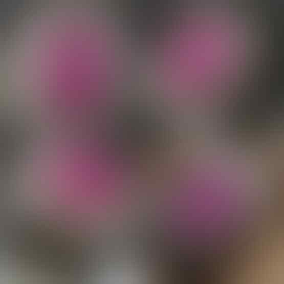 LELANG SPESIAL MENYAMBUT TAHUN BARU. CLSD 1 JAN 2017 21.00