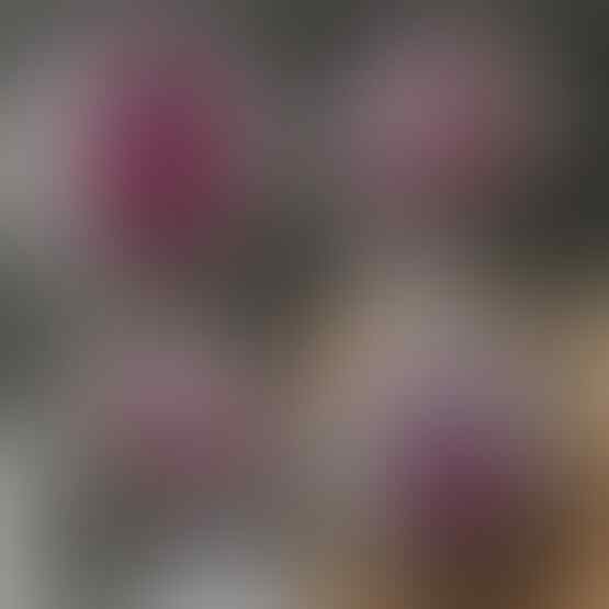 LELANG SPESIAL MENYAMBUT TAHUN BARU. CLSD 1 JAN 2017 21.00
