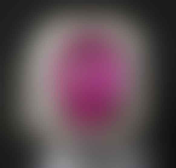 LELANG SPESIAL MENYAMBUT TAHUN BARU. CLSD 1 JAN 2017 21.00