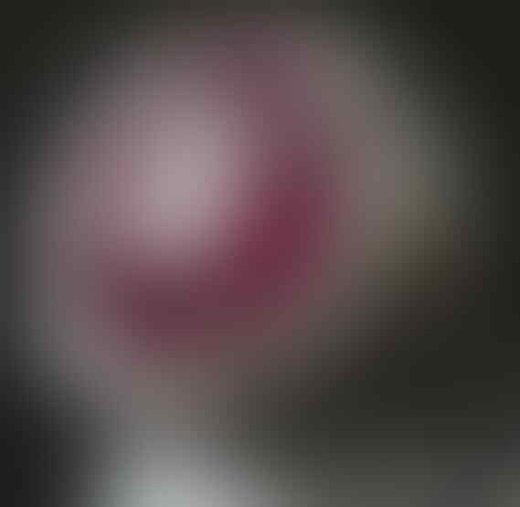 LELANG SPESIAL MENYAMBUT TAHUN BARU. CLSD 1 JAN 2017 21.00