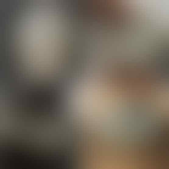 LELANG SPESIAL MENYAMBUT TAHUN BARU. CLSD 1 JAN 2017 21.00