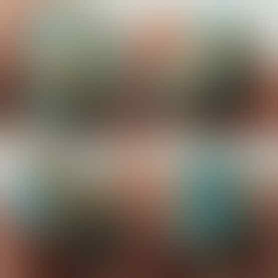 LELANG SPESIAL MENYAMBUT TAHUN BARU. CLSD 1 JAN 2017 21.00