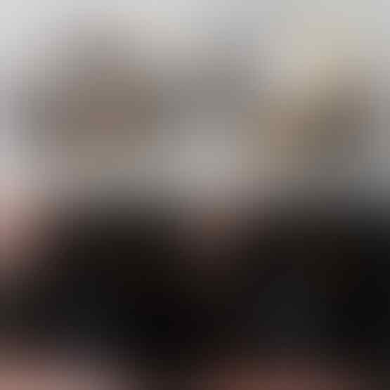 LELANG SPESIAL MENYAMBUT TAHUN BARU. CLSD 1 JAN 2017 21.00