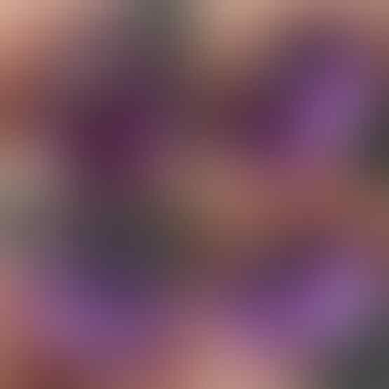 LELANG SPESIAL MENYAMBUT TAHUN BARU. CLSD 1 JAN 2017 21.00