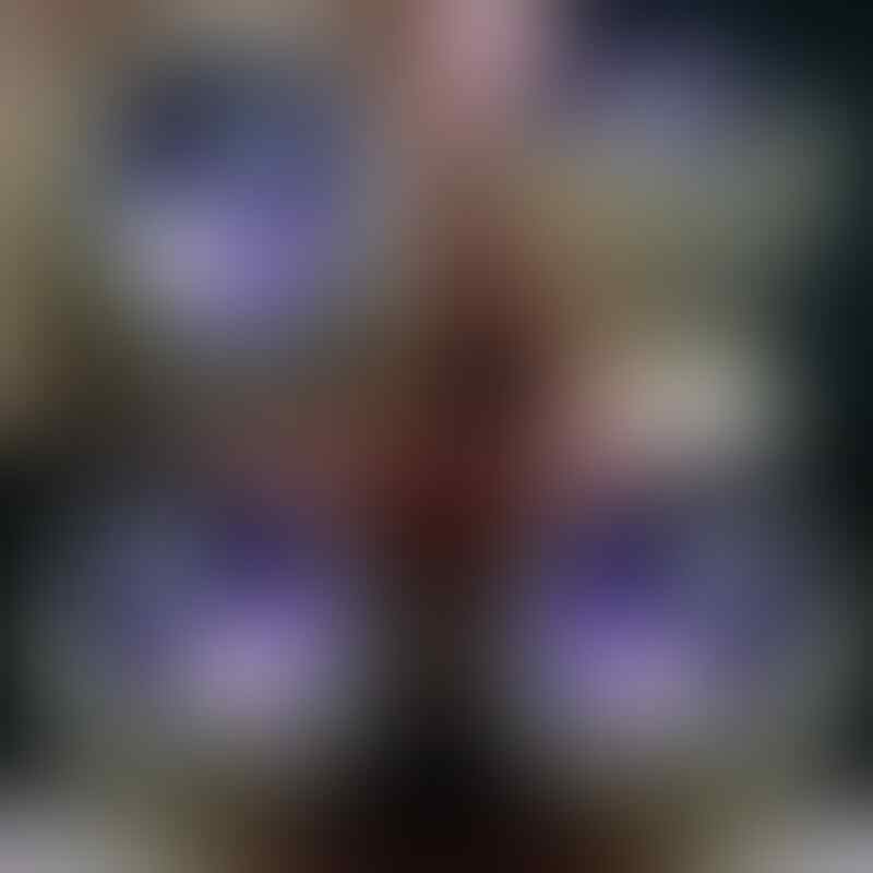 (LELANG KELAS KAKAP) OB 0 BARANG HQ DIUMBAR KARENA BU SD 15 01 17