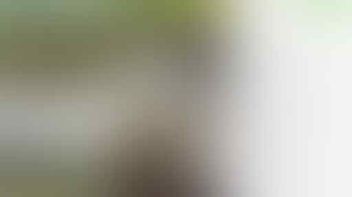 Naik Motor, Wanita Tanpa Busana Hendak Masuk Bandara di Pontianak