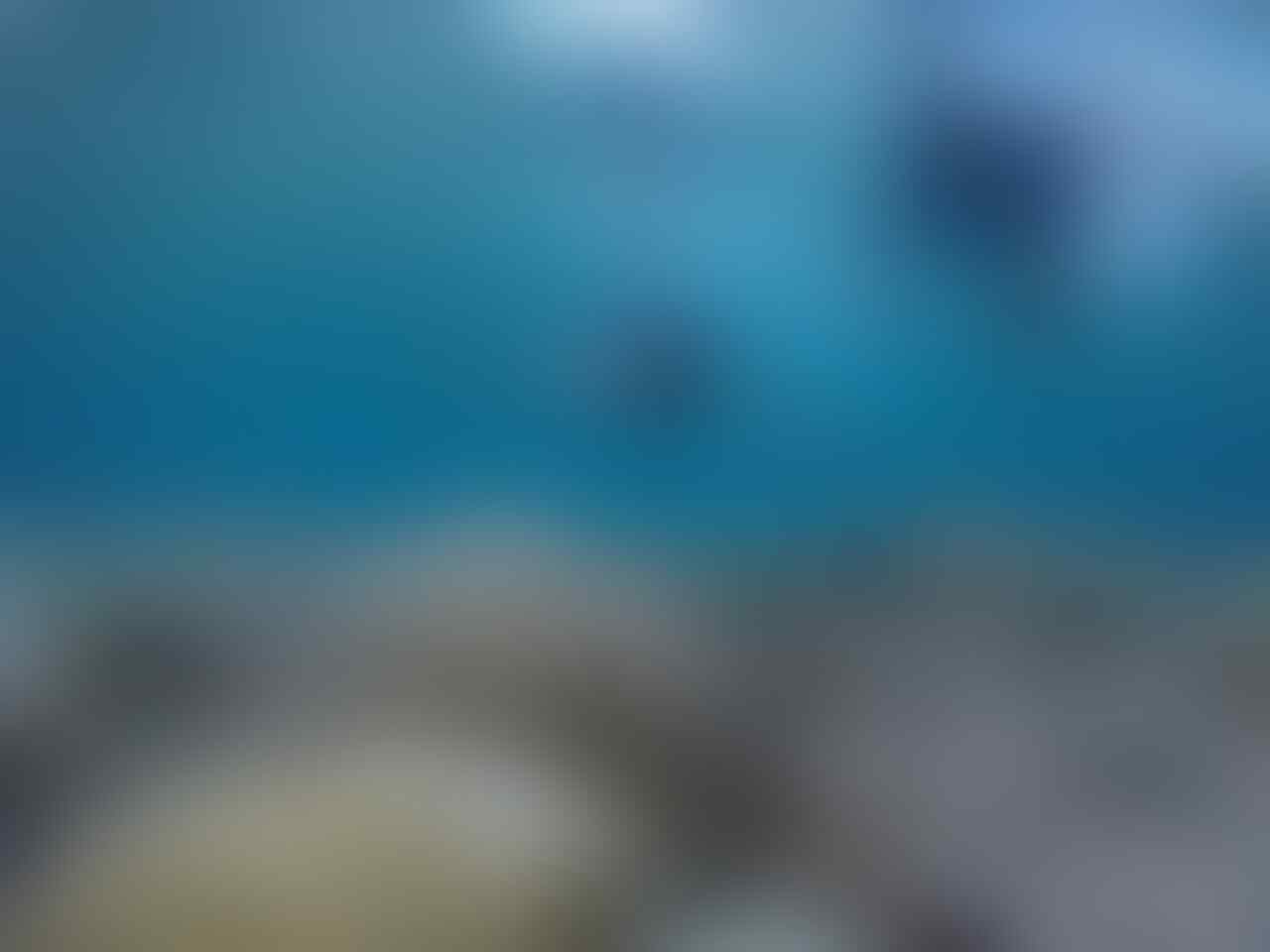 Wakatobi, Surga Di Tanah Sulawesi