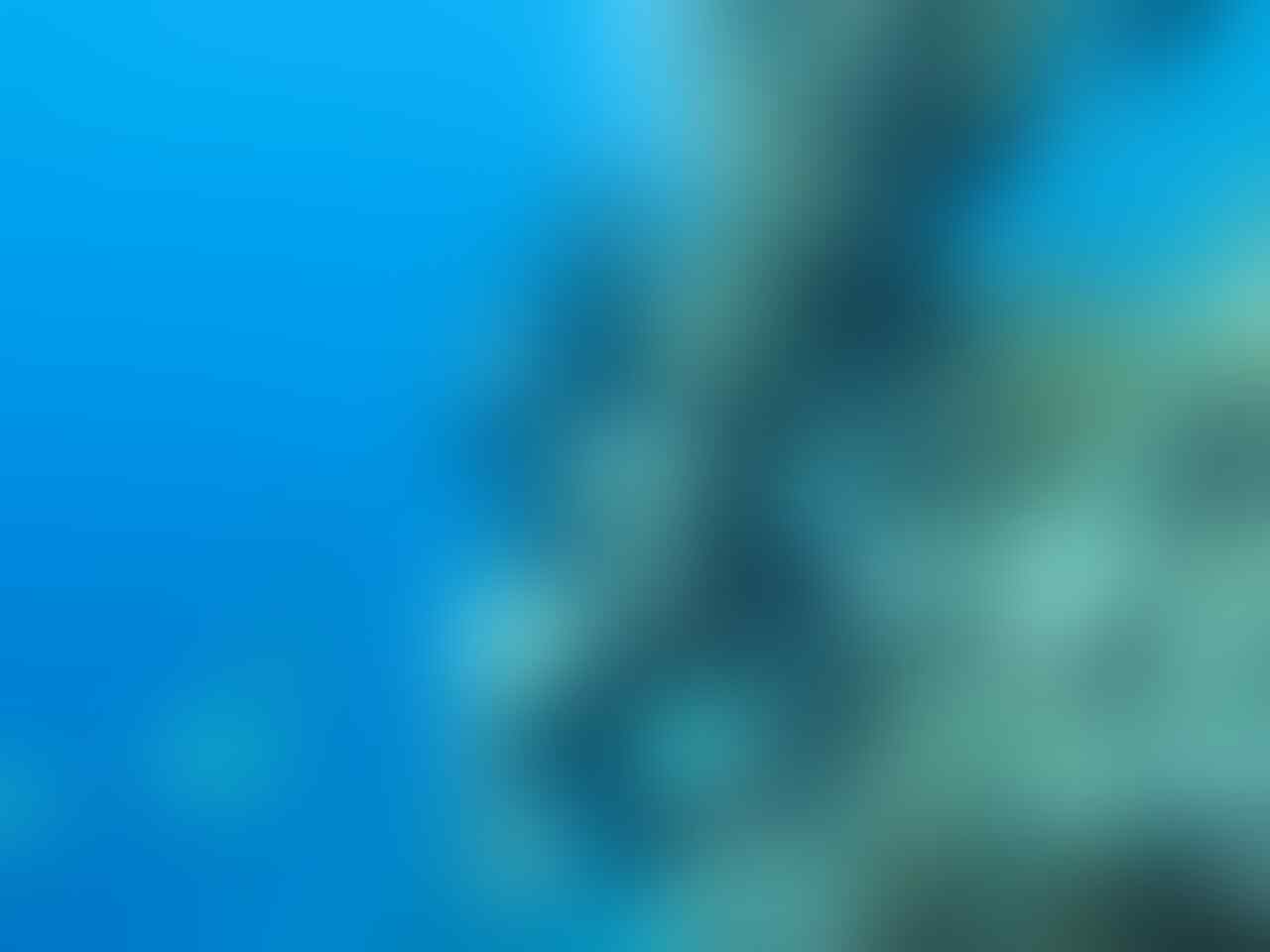 Wakatobi, Surga Di Tanah Sulawesi