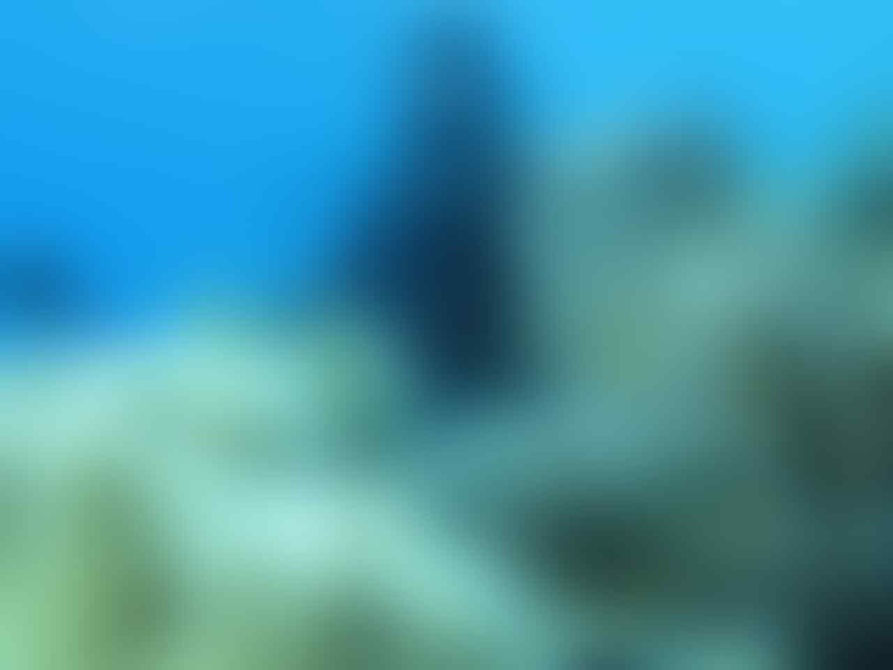 Wakatobi, Surga Di Tanah Sulawesi