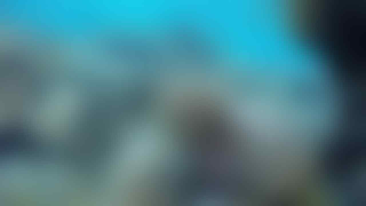 Wakatobi, Surga Di Tanah Sulawesi