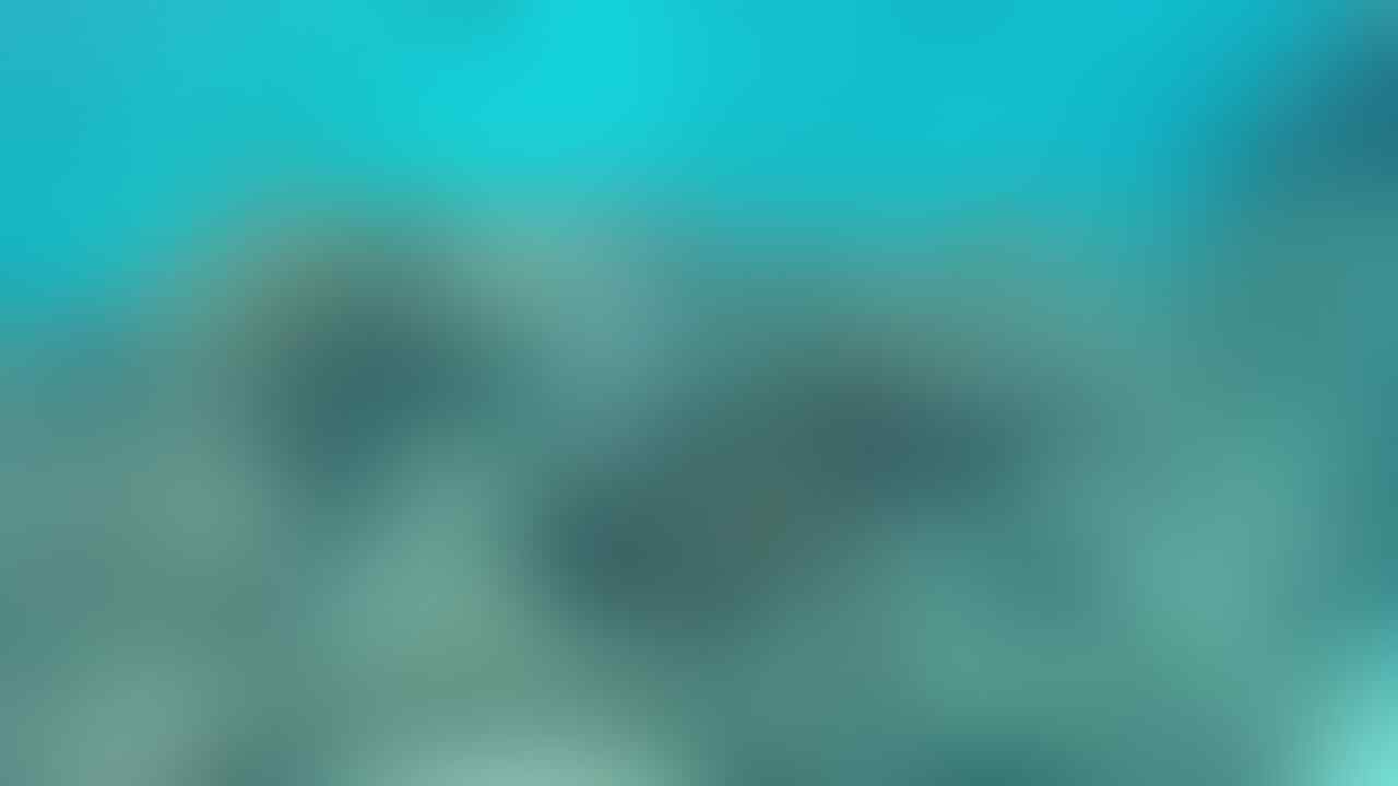 Wakatobi, Surga Di Tanah Sulawesi