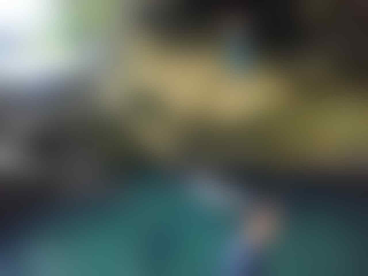 Wakatobi, Surga Di Tanah Sulawesi
