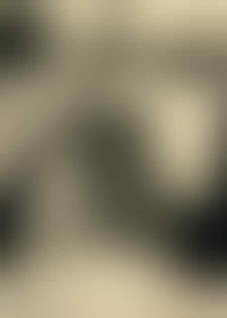 Pernah Ada 'Kebun Binatang' yang Isinya Manusia 11 Foto Ini Jadi Bukti Nya