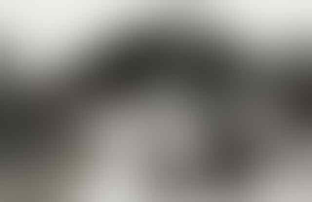 Pernah Ada 'Kebun Binatang' yang Isinya Manusia 11 Foto Ini Jadi Bukti Nya