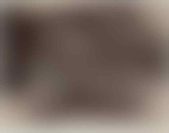 Pernah Ada 'Kebun Binatang' yang Isinya Manusia 11 Foto Ini Jadi Bukti Nya