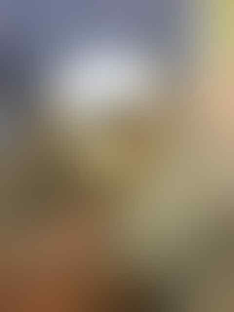 17thn+ --- Biar tak bercinta sembarangan, ‘anunya’ diplester ( WITH PIC )