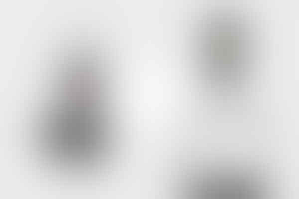 Mengenal Jenis-jenis Flash dalam Fotografi