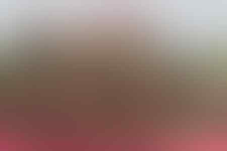 Mengenal beberapa seragam loreng terbaik di dunia