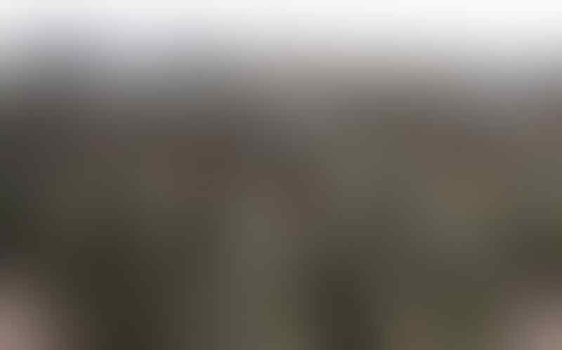 Mengenal beberapa seragam loreng terbaik di dunia