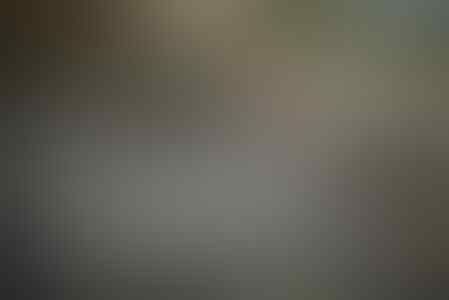 Spa di Tepi Tigris Bergeliat Kembali Usai ISIS Terusir