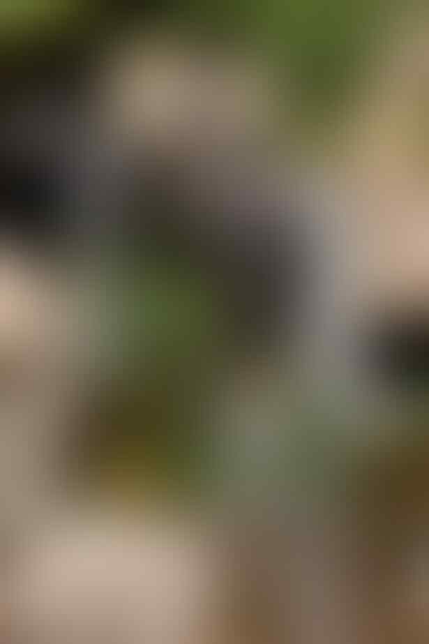 Tes mata, bisakah kamu temukan wanita tanpa busana di 7 foto ini?