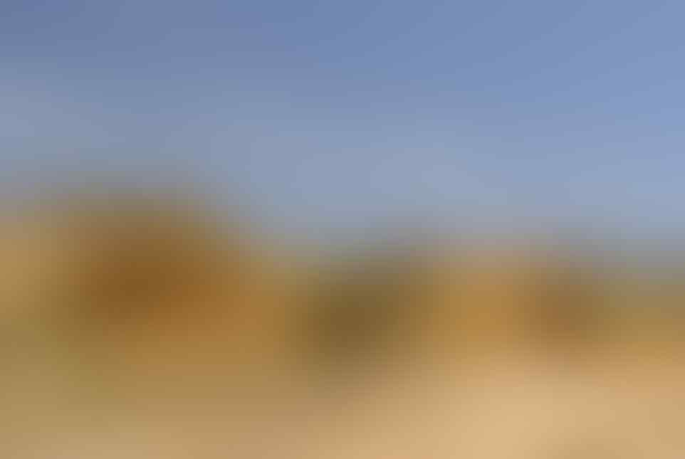 Tes mata, bisakah kamu temukan wanita tanpa busana di 7 foto ini?