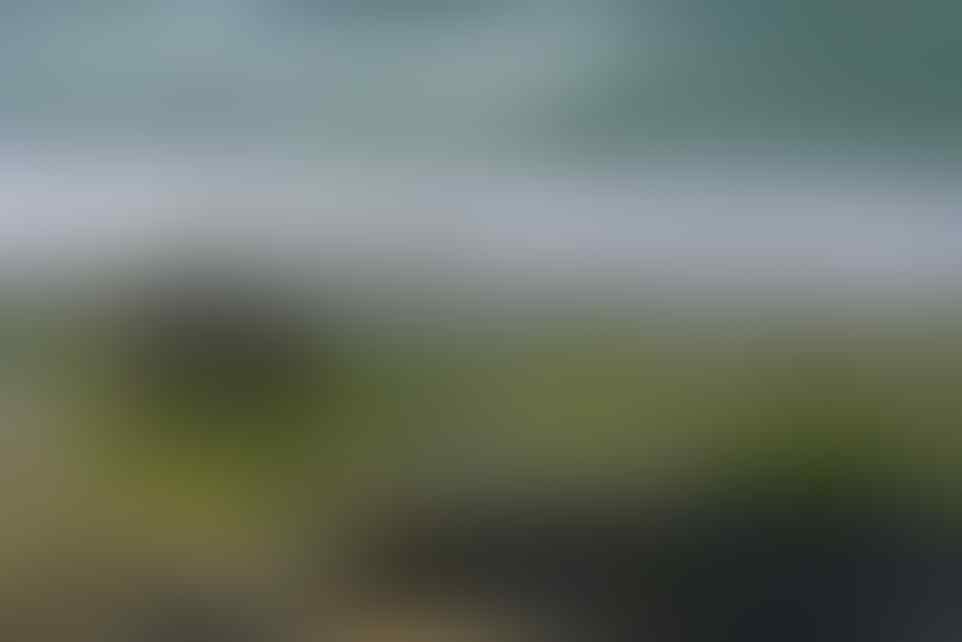 Tes mata, bisakah kamu temukan wanita tanpa busana di 7 foto ini?